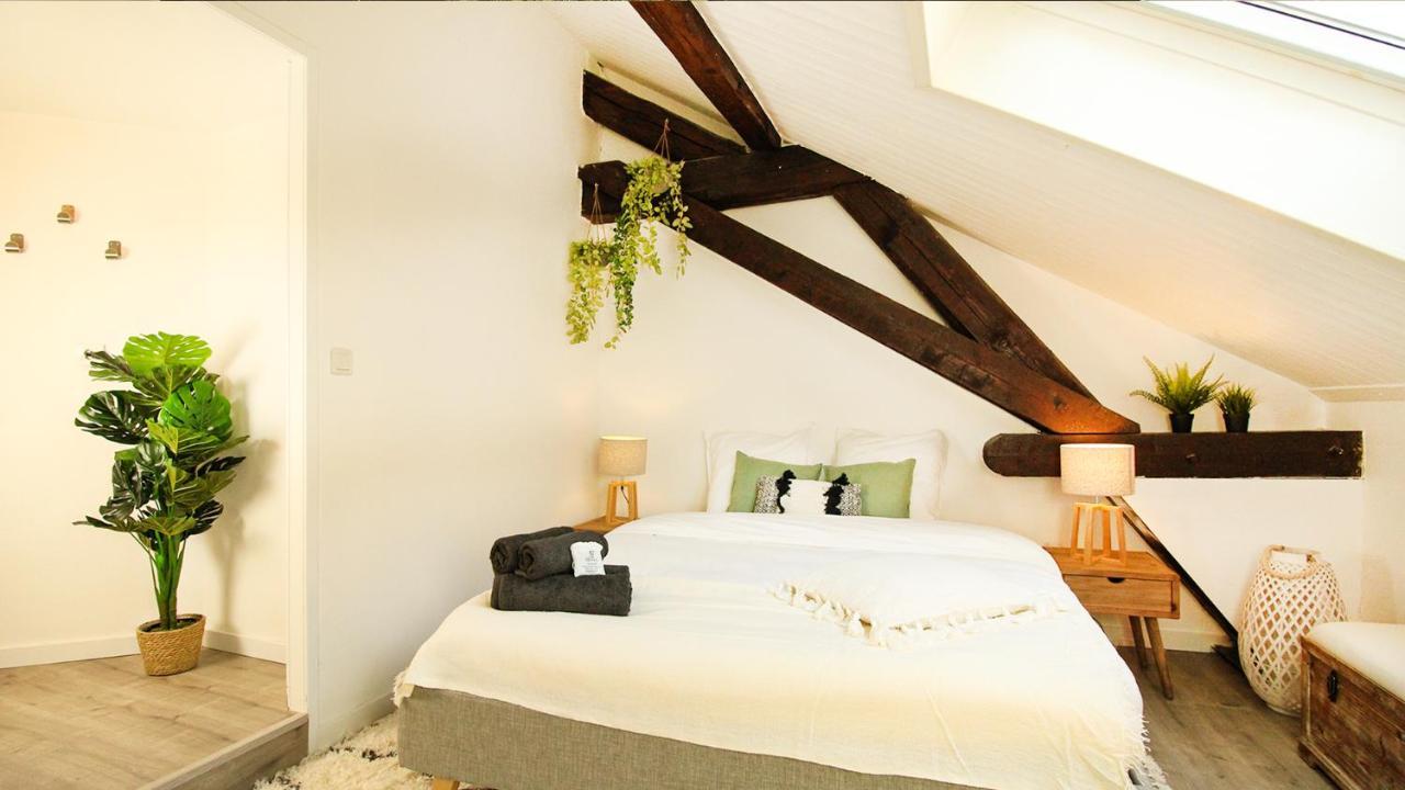 Homey Bella - New / Duplex / Downtown / Close Geneva Annemasse Extérieur photo